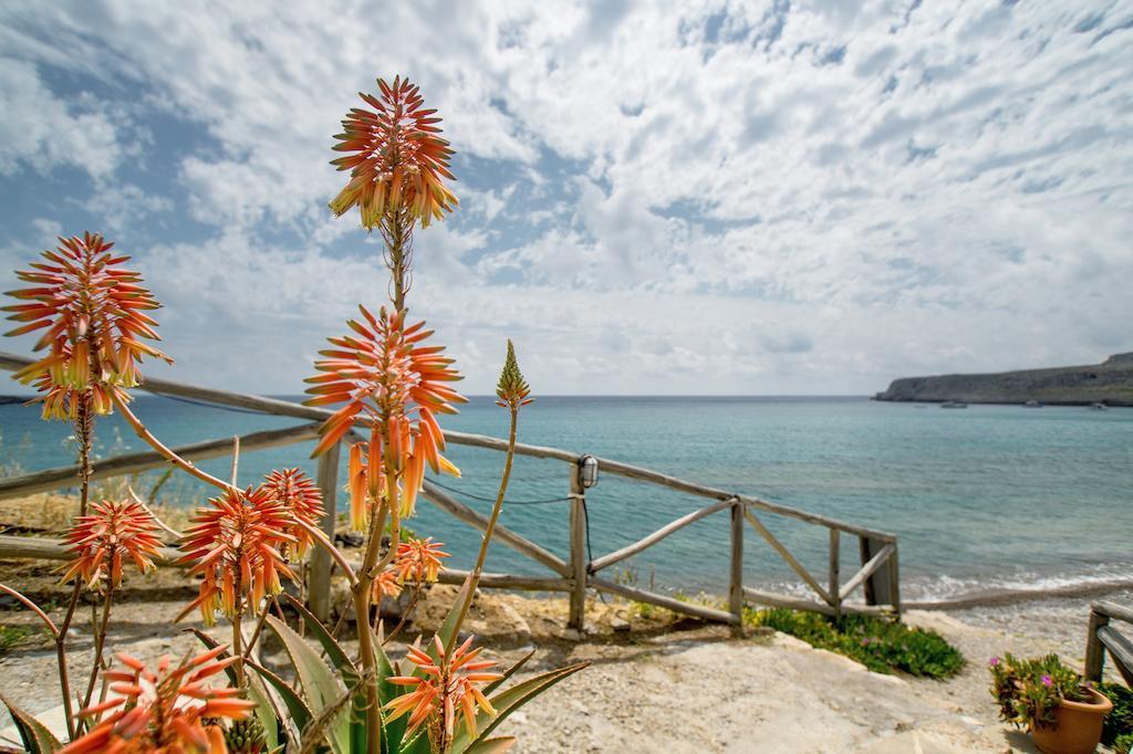 Coral Front Beach Káto Zákros Rum bild